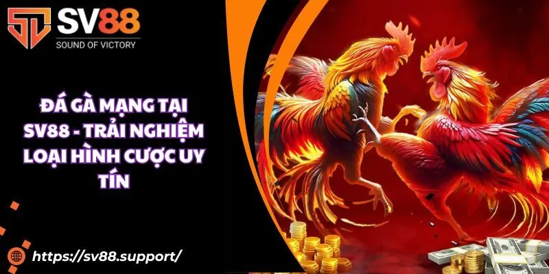 Đá gà mạng tại SV88 - Trải nghiệm loại hình cược uy tín